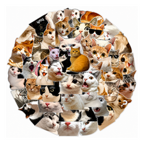 Miomu Set de Stickers, Memes de Gatitos Graciosos